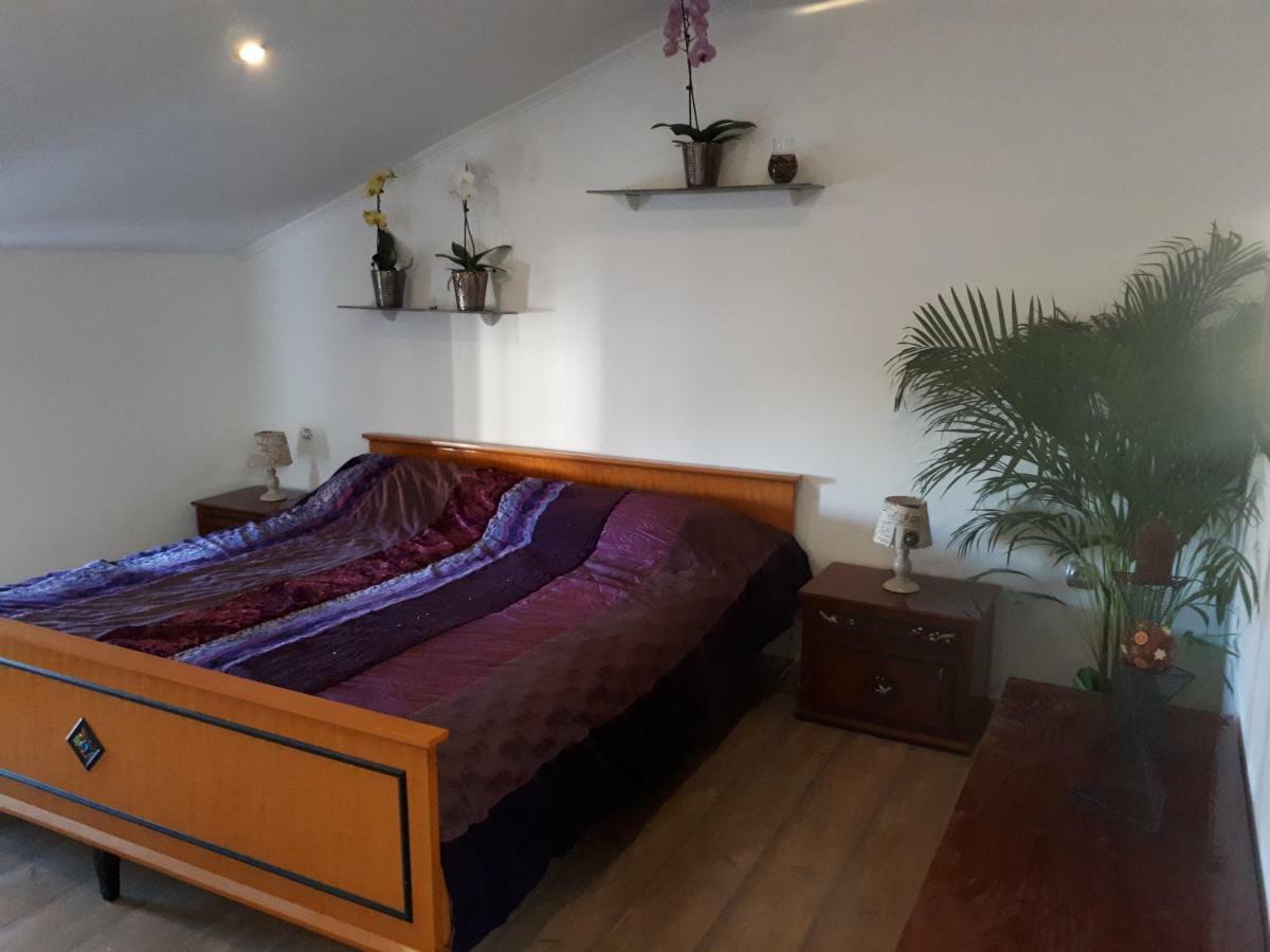 Apartma Marisol Apartment