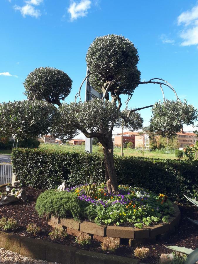 Apartma Marisol *